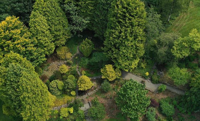 The Yellow Garden at Cae Hir Gardens, as seen from above. The stone paths meander through the yellow-leaved shrubs and bushes, surrounded by mature ye
